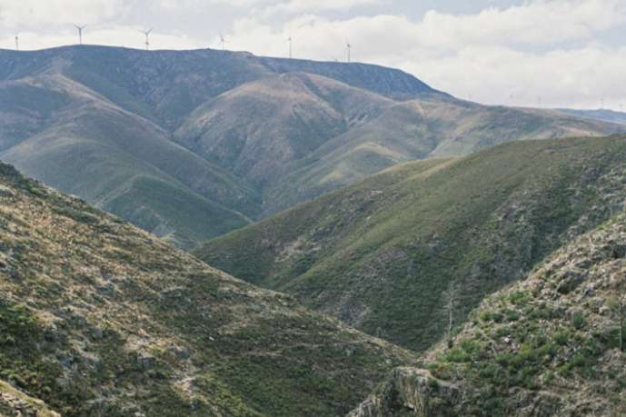 NATUREZA-DOPAMINA-A.jpg